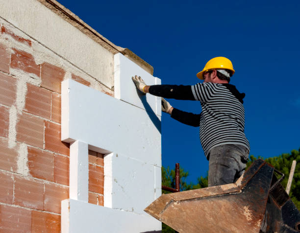 Best Professional Insulation Contractor  in Plains, MT