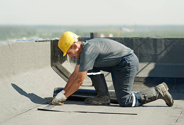 Best Soundproof Insulation Installation  in Plains, MT