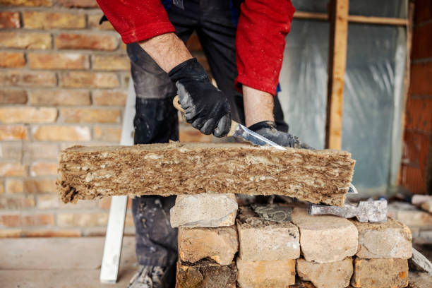 Best Local Insulation Services  in Plains, MT