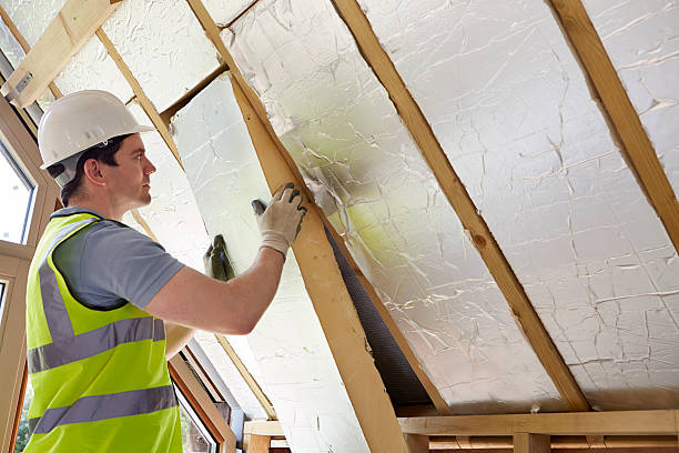 Best Insulation Repair Services  in Plains, MT